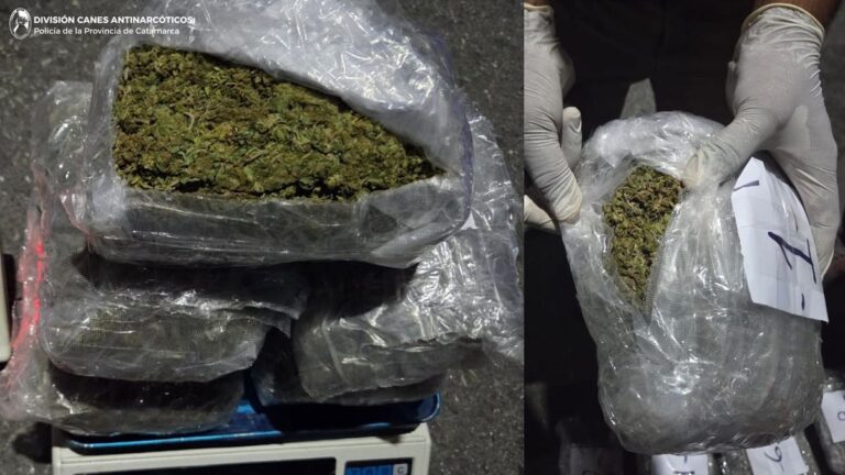 Secuestran más de tres kilos de marihuana en un colectivo y detienen a un joven tucumano