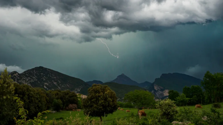 Alerta amarilla por tormentas en gran parte del interior provincial