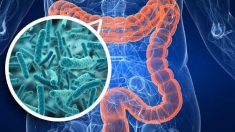 Bacterias intestinales: una nueva esperanza para fortalecer la inmunidad frente al VIH