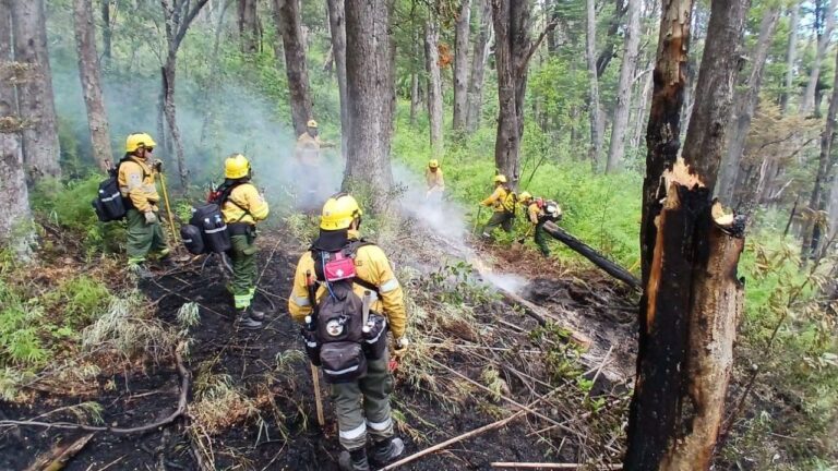 Brigadistas catamarqueños continúan trabajando en la Patagonia