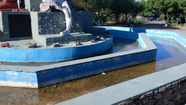«La fuente de la plaza Wayra Tawa, está con agua estancada hace meses»