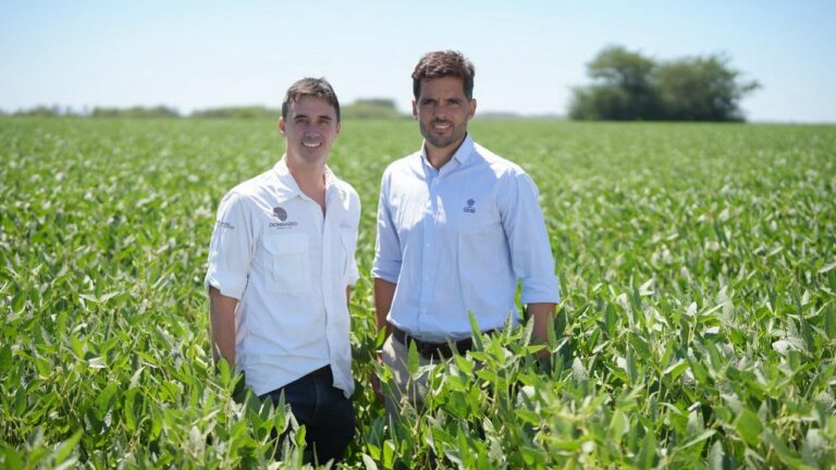 El partido de la soja: un experto explicó cómo la Argentina puede achicar una brecha con Brasil