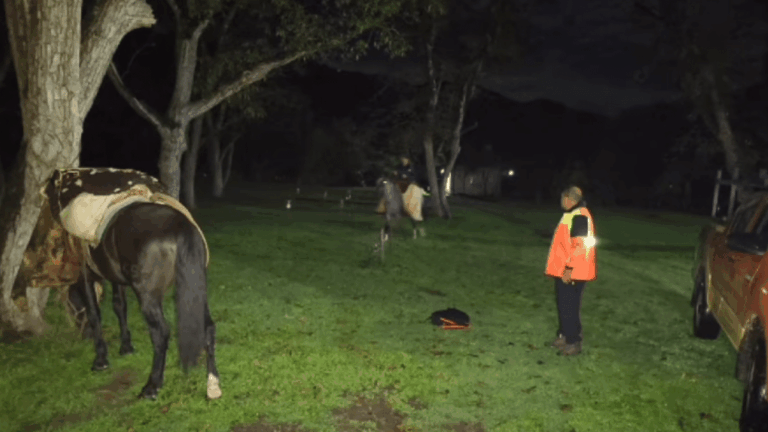 Encontraron sano y salvo a un hombre de 76 años que estaba extraviado en El Tala