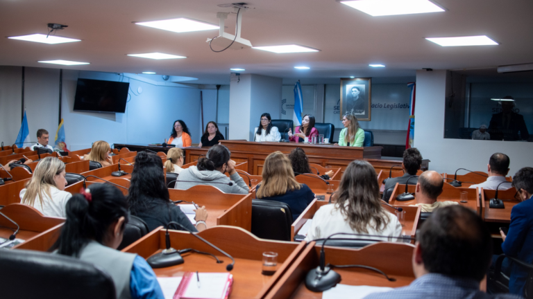 La Comisión de Legislación General avanzó en el análisis del nuevo Código Procesal de Familia